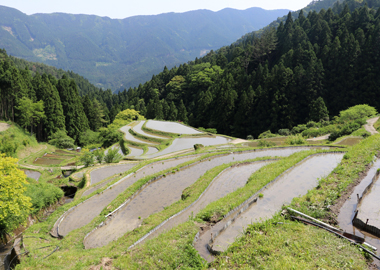 ２０１８樫原の棚田