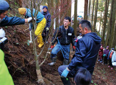 彩山植栽体験会