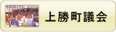 議会 議会